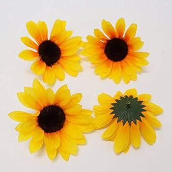 ひまわり出品 秋咲きひまわり | 花＆グリーン 通販 | ホームセンターのカインズ